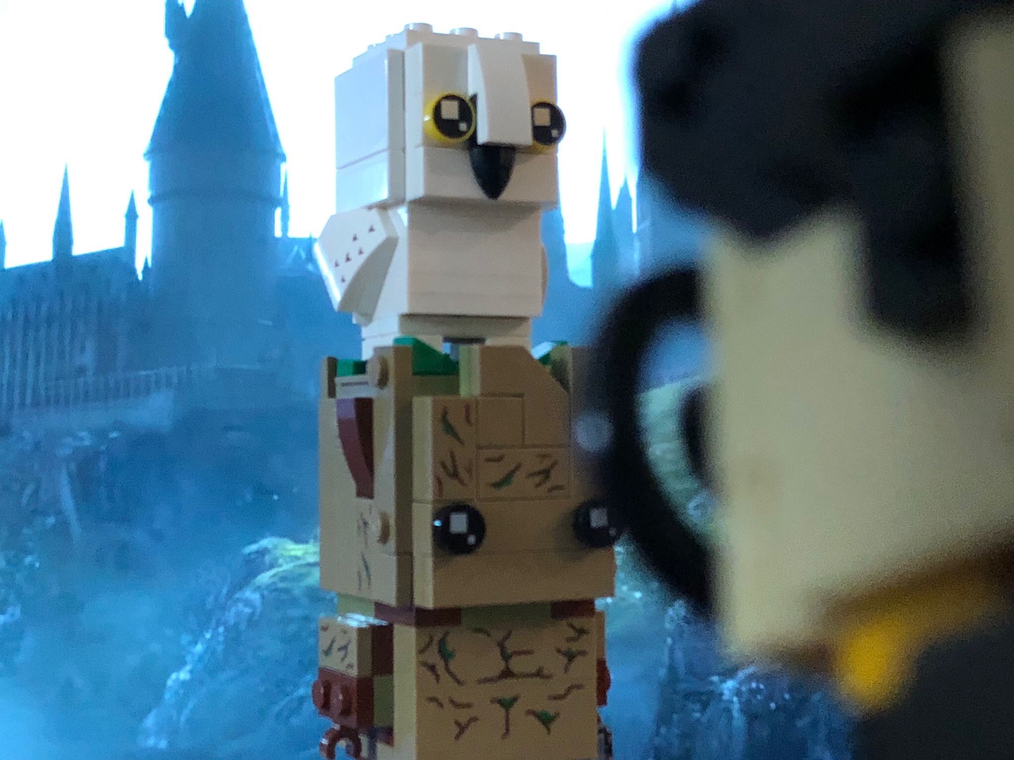 LEGO Brickheadz Groot, Hedwig, and Harry Potter